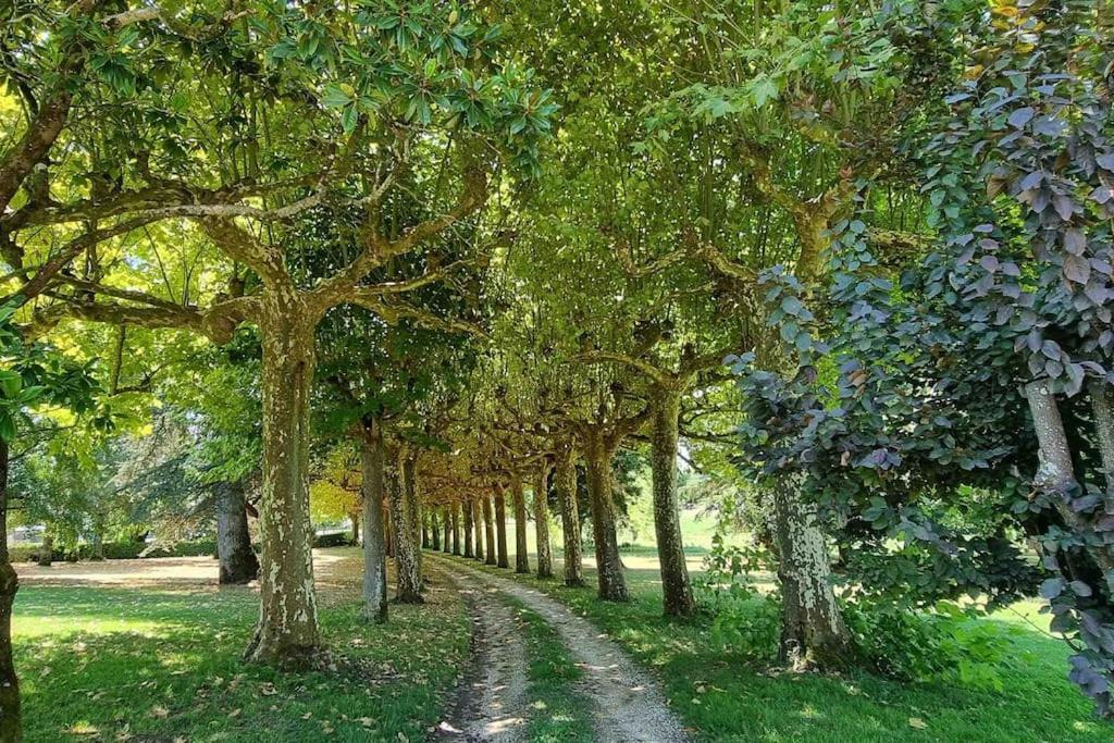 Chateau D'Issandou Golfech المظهر الخارجي الصورة